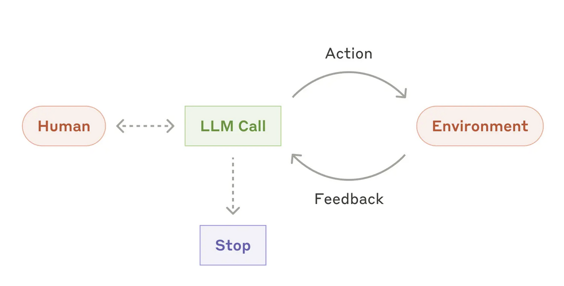 循环交互式 agent 架构图：中心是 LLM Call，与 Environment 之间由 Action 与 Feedback 构成闭环；Human 与 LLM Call 之间是双向虚线交互；LLM Call 另有一条向下的虚线通往 Stop 终止节点。